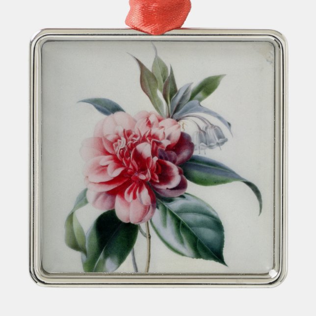 Kamelie Silbernes Ornament (Vorne)