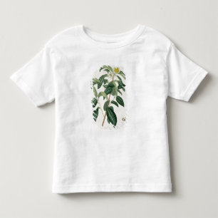 Kamelie Thea von "Phytographie Medicale" durch Kleinkind T-shirt