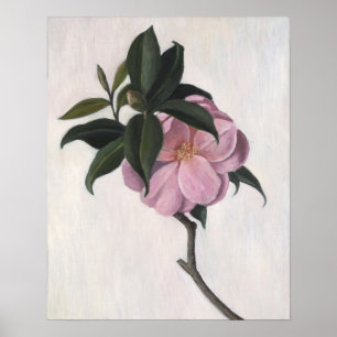 Kamelien 1998 poster