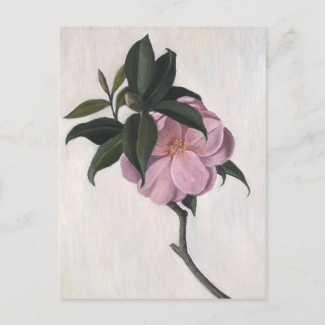 Kamelien 1998 postkarte (Vorderseite)