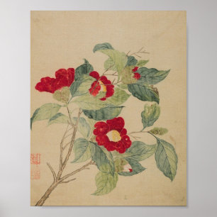 Kamelien-Blumen-Botanischer-Kunst-Druck von Ma Yua Poster