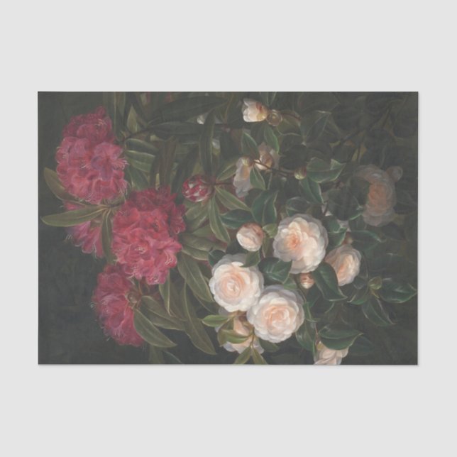 Kamelien und Rhododendren Seidenpapier (Vorderseite)