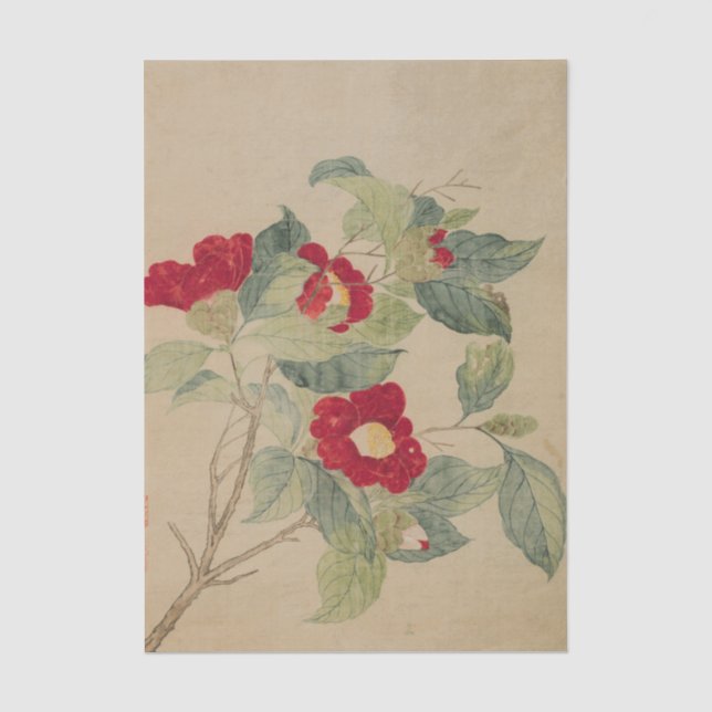 Kamelien von Ma Yuanyu Seidenpapier (Vorderseite)