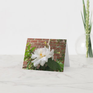 Kameliengrußkarte (leer) feiertagskarte