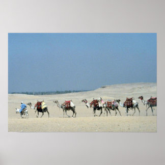 Kamelkarawan, der die Sahara überquert Poster