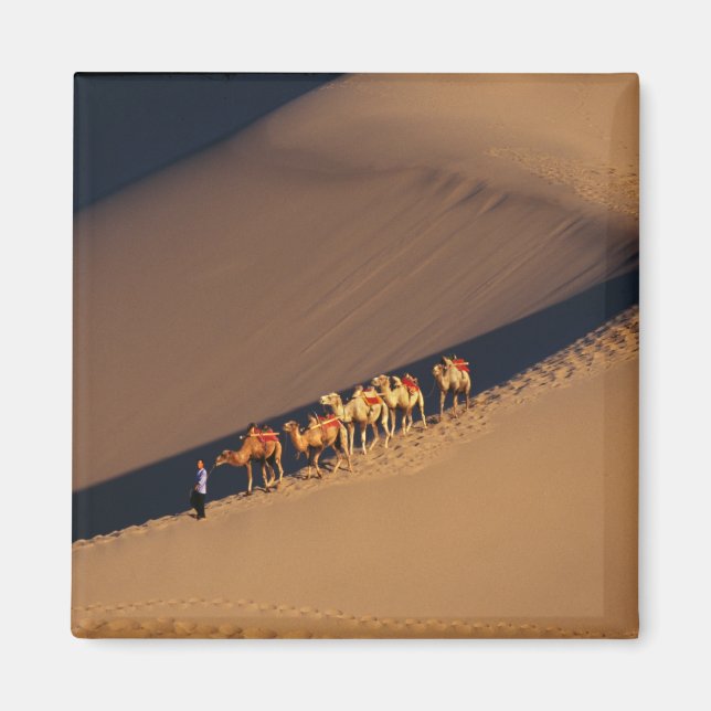 Kamelkarawane auf der Wüste, Dunhuang, Gansu Magnet (Vorne)