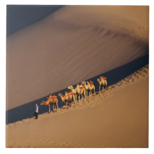 Kamelkarawane in der Wüste, Dunhuang, Gansu Fliese