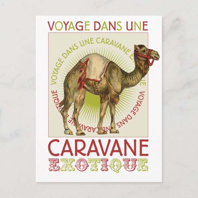 Kamelkarawane Postkarte (Vorderseite)