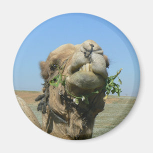 Kamelkauen-Blume Magnet