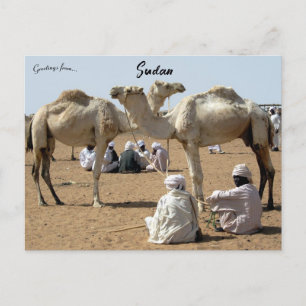 Kamelmarkt im Sudan Postkarte