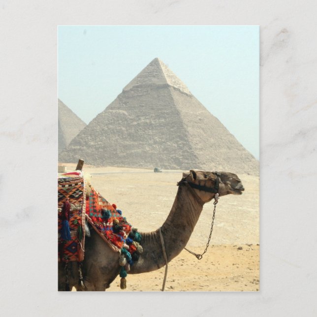 Kamelpyramide Postkarte (Vorderseite)
