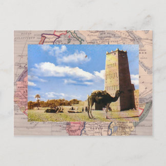 Kamelstopp in der Wüste Postkarte