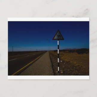 Kamelüberquerung Postkarte