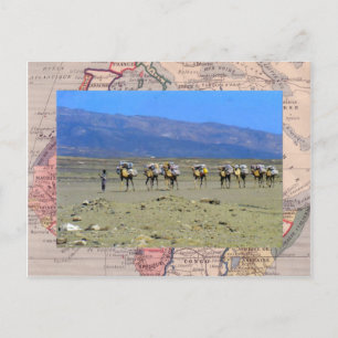 Kamelzug, der die Sahara-Wüste überquert Postkarte