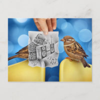 Kamera für Stift Vs - Electro Bird