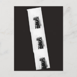 Kamera in einem Fotostand Postkarte