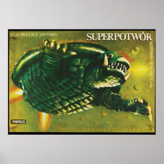 Kamera in Polen Poster