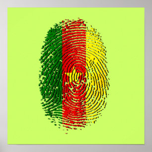 Kamerun 100% DNS von einem kamerunischen Cameroun Poster
