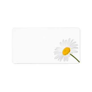 Kamille Blume Abgeschieden im weißen Hintergrund Adressaufkleber