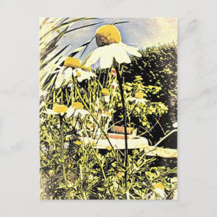 Kamille Blume (antiker Stil) Postkarte