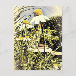 Kamille Blume (antiker Stil) Postkarte