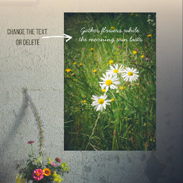 Kamille Blume auf der grünen Sommerwiese Poster
