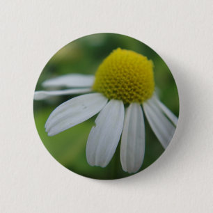 Kamillenblüte Button