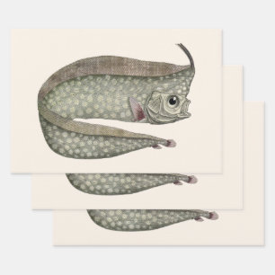 Kamm-Mondfisch Fisch, Vintage Meeresleben Geschenkpapier Set