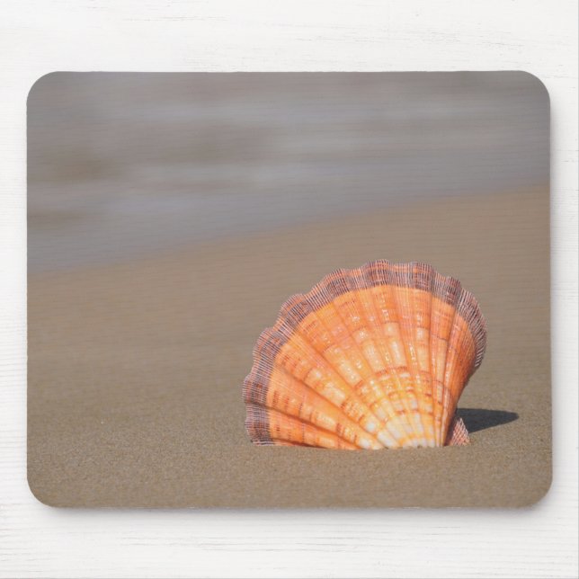 Kamm-Muschel Shell| Kreta, Griechenland Mousepad (Vorne)