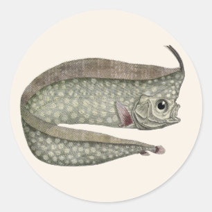 Kamm-Schwertfisch Fisch, Vintage Meeresleben Runder Aufkleber
