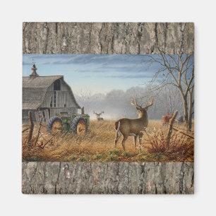 Kampf der Dollars Magnet