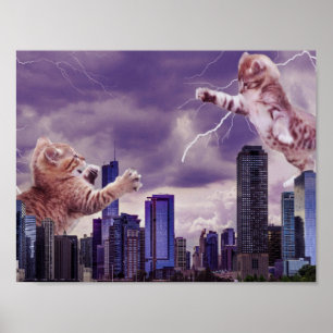 Kampf der Katzen Poster