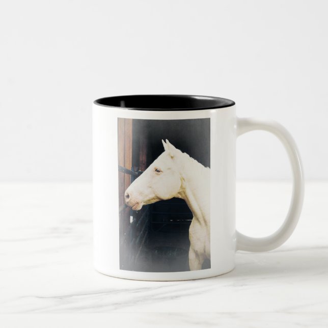 Kampf gegen Rocky Fight Tasse (Rechts)