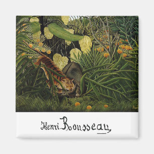 Kampf um einen Tiger und ein Buffalo Magnet
