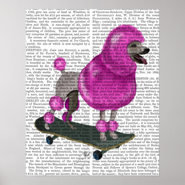 Kämpfe nie mit Schweinen Poster (Vorne)