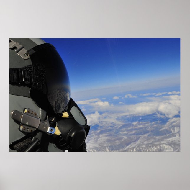Kämpfender Falke-Pilot Poster (Vorne)