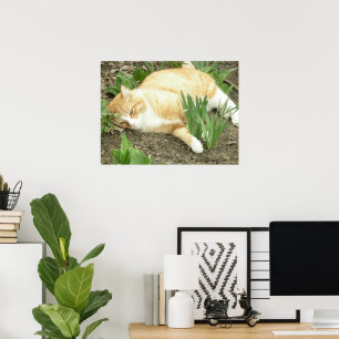 Kämpfer im Garten Poster