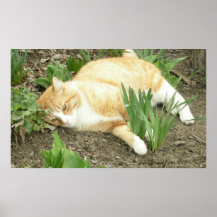 Kämpfer im Garten Poster