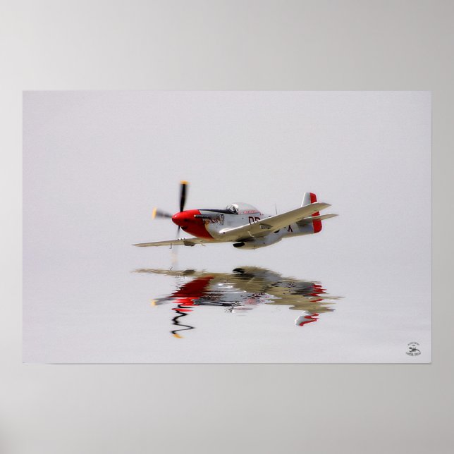 Kämpfer Poster (Vorne)