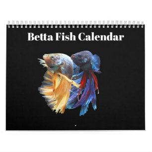 Kampffisch 2027 Kalender