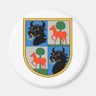 Kampfgeschwader 1 Hindenburg Magnet