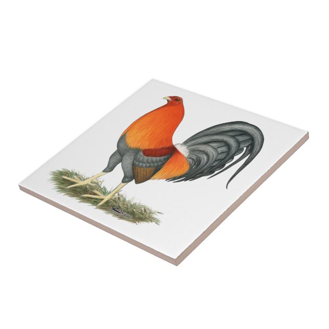 Kampfhahn Blau Roter Hahn Fliese (Seite)
