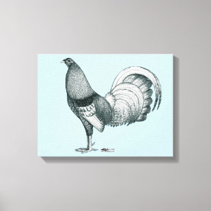 Kampfhahn Crele oder Dom Leinwanddruck