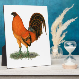 Kampfhahn Ginger Red Rooster Fotoplatte