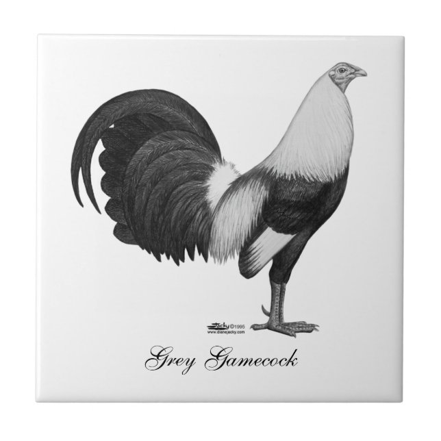 Kampfhahn-Grau Duckwing Fliese (Vorderseite)