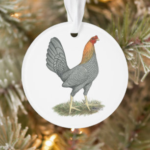 Kampfhuhn Blau Rot Ornament
