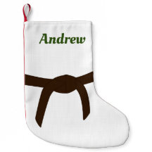 Kampfkunst Brown Belt