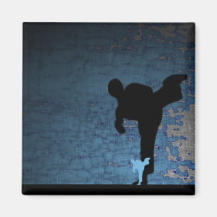 Kampfkünste: shadowstance magnet