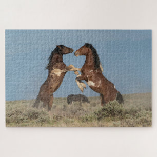 Kampflustige Hengste Puzzle
