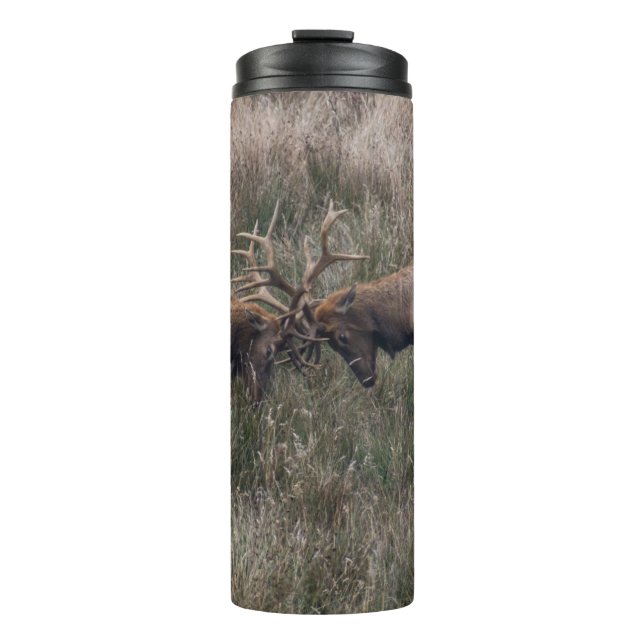 KAMPFTIEGE THERMOSBECHER (Vorderseite)